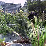 Haus Kamp